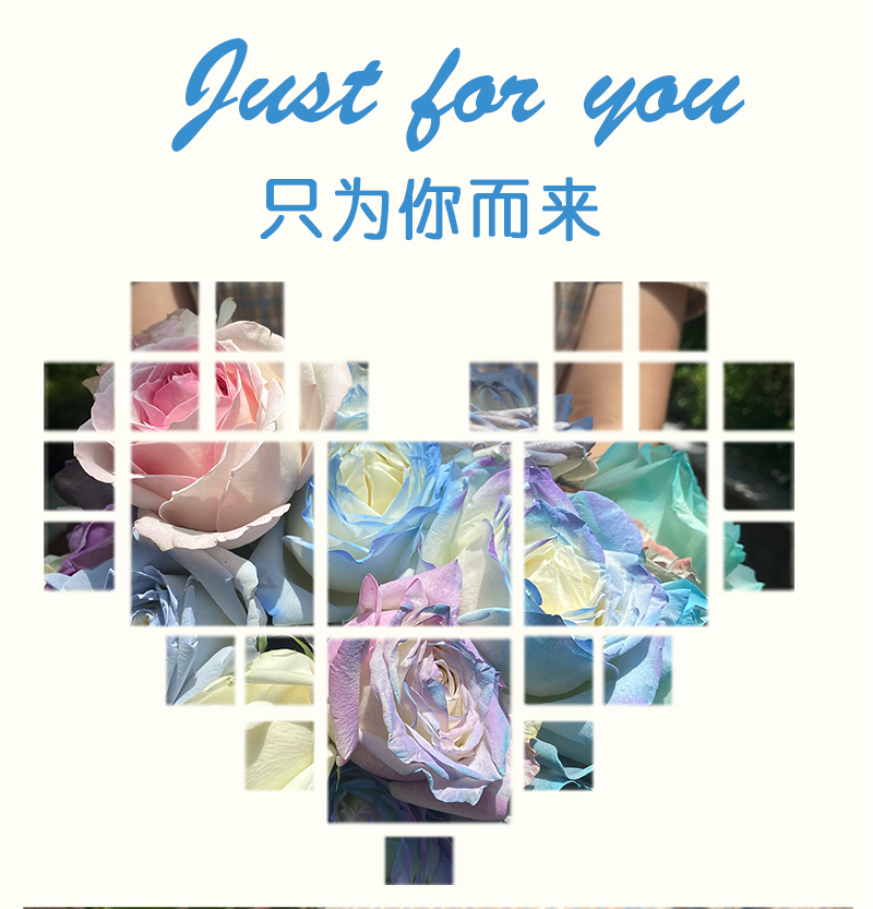 鮮花染色劑 (9)