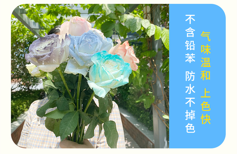 鮮花染色劑 (5)