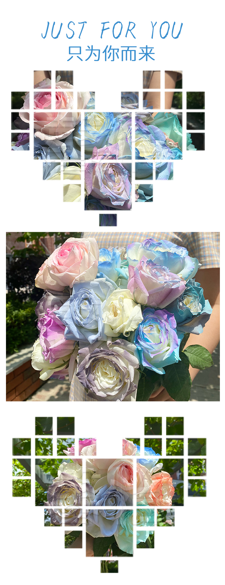 鮮花噴色劑_08